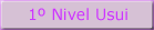 1º Nivel de Reiki Usui